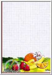 Diddlblock Blatt A5 Nr. 96